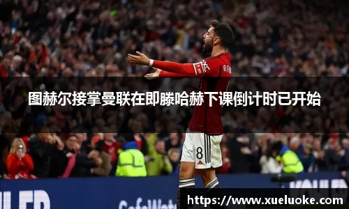 乐盈VI官网登录入口